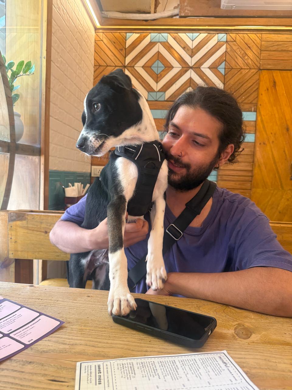 Zeeus, a black-and-white puppy with a white chest and a hint of tan